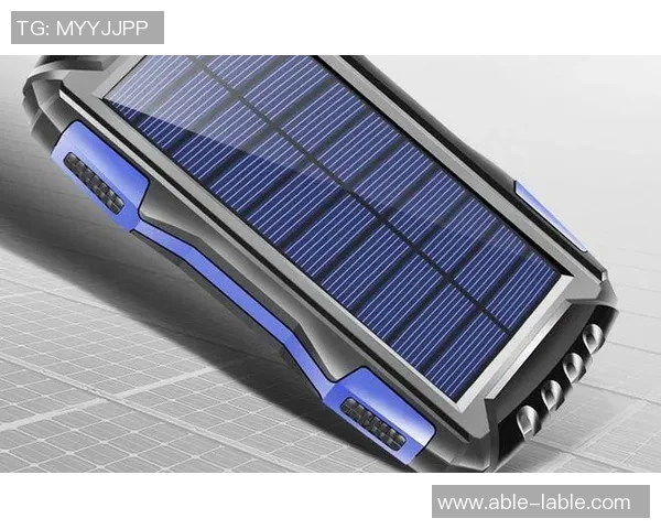 天猫与太阳预测的全面对比分析及未来发展趋势探讨